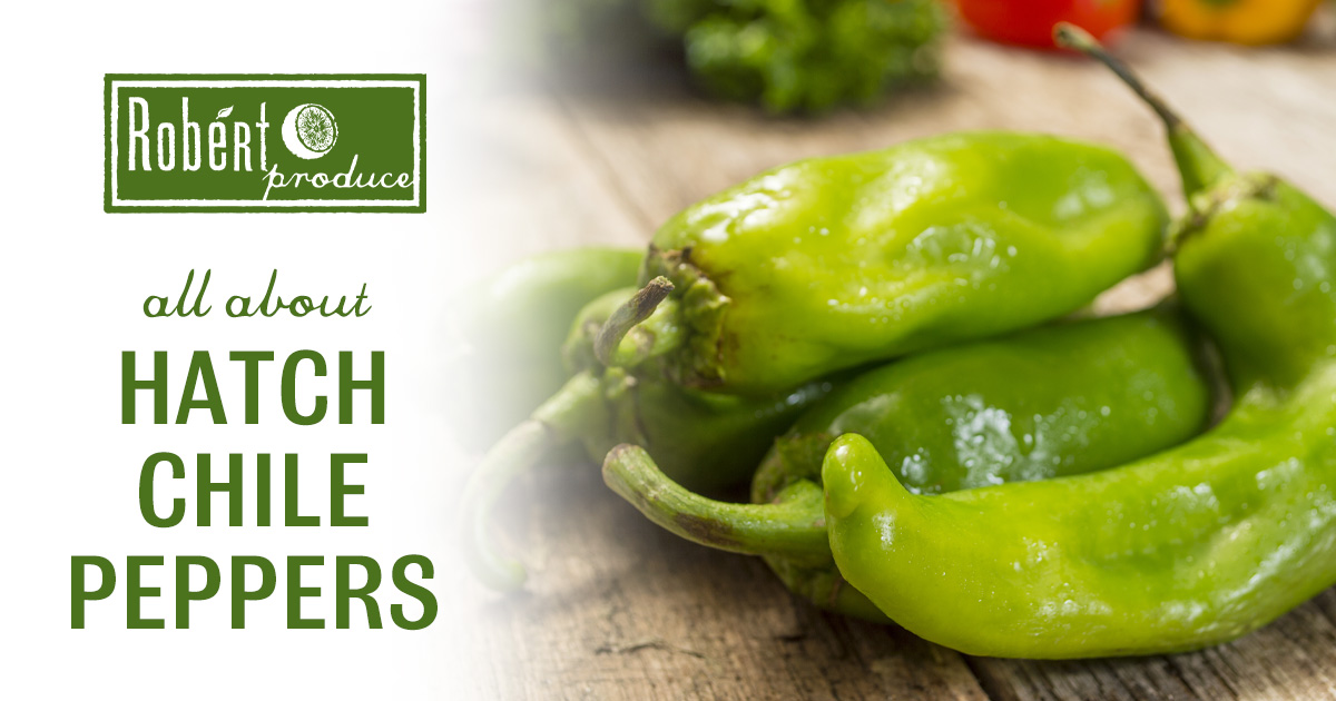 All About Hatch Chile Peppers