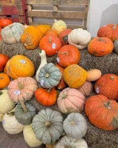 Gourds and Pumpkins at Robért Fresh Market